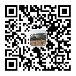 濰坊丝瓜视频成人