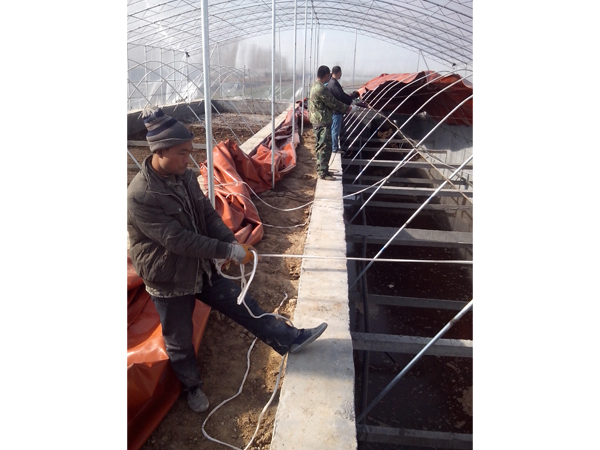 哈爾濱--養豬場紅泥沼氣池（chí）安裝現場