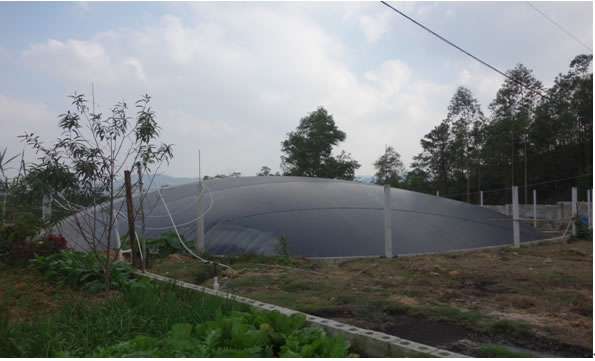 雲南曲（qǔ）靖市--黑膜（mó）沼氣池