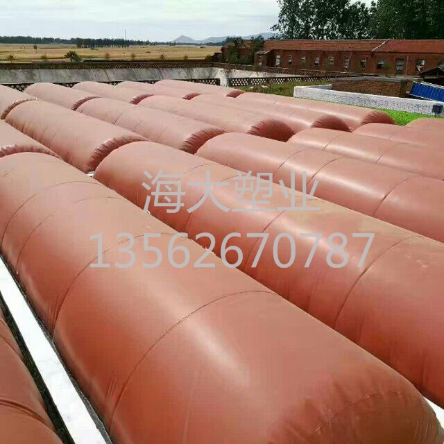 甘肅秦安養殖（zhí）場沼（zhǎo）氣池